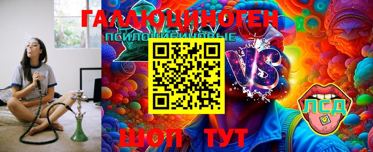 Псилоцибиновые грибы Cubensis Усть-Джегута