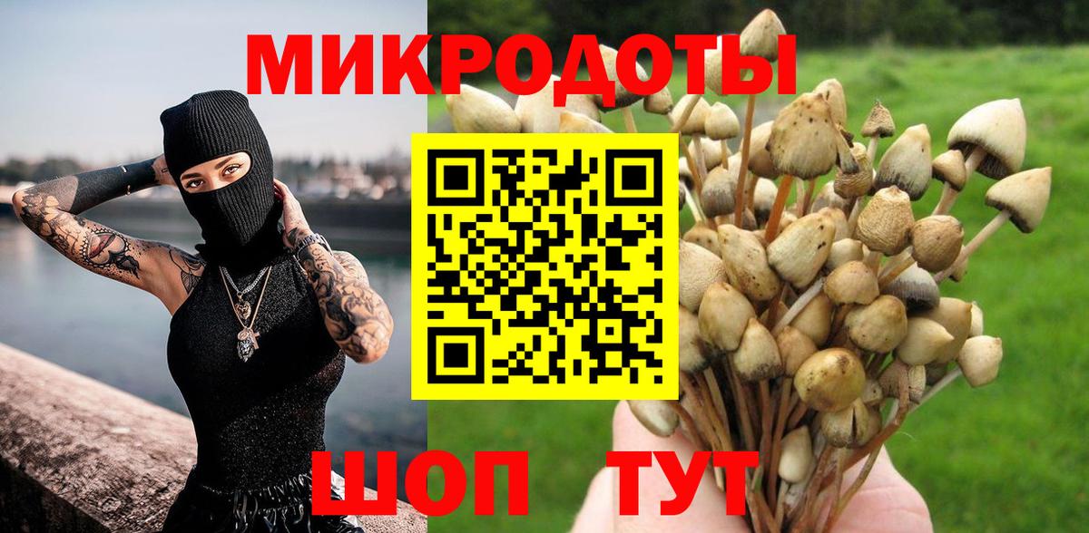 Усть-Джегута  Псилоцибиновые грибы ЛСД  Вход с VPN 